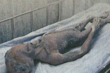 مهمانان ناخوانده زمین