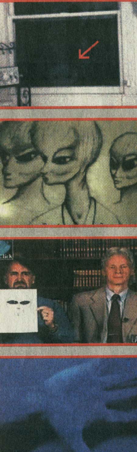 مهمانان ناخوانده زمین