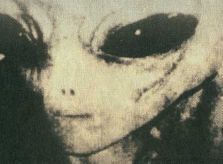 مهمانان ناخوانده زمین