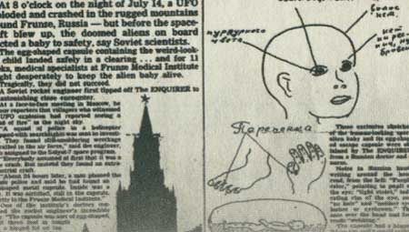 مهمانان ناخوانده زمین