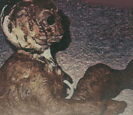 مهمانان ناخوانده زمین