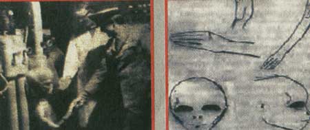 مهمانان ناخوانده زمین