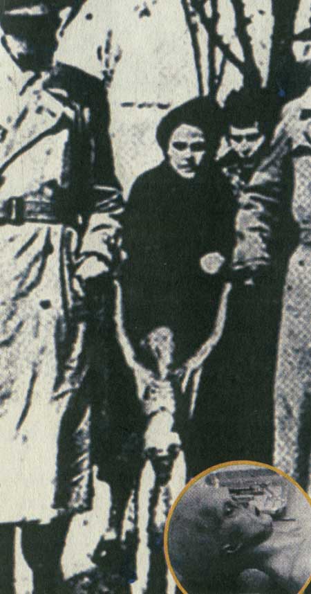 مهمانان ناخوانده زمین