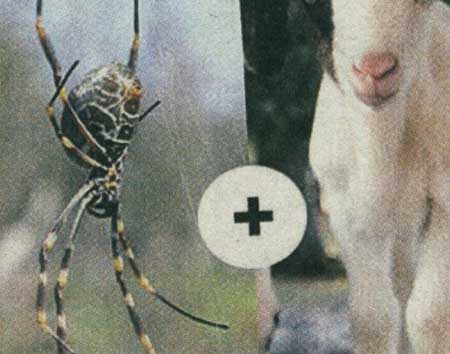 عجایب دنیای ژنتیک