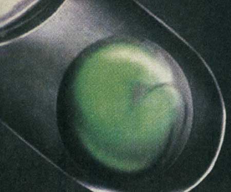 عجایب دنیای ژنتیک