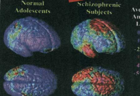 عجایب دنیای ژنتیک