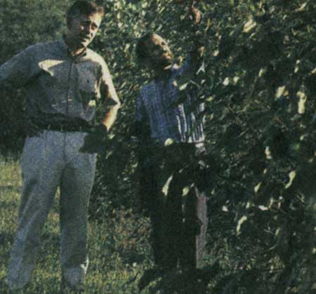 عجایب دنیای ژنتیک