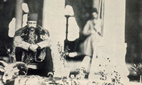 پلنگ در خيابان دماوند