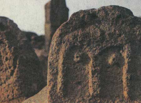 آنها که سنگ شدند