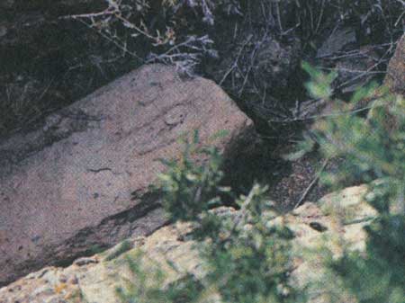 آنها که سنگ شدند