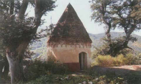 جنگل گردي درسنگده