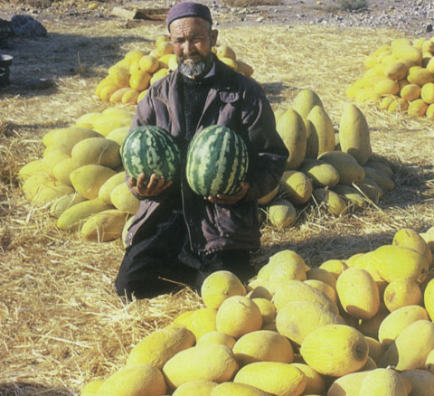 هشت خوان کوير