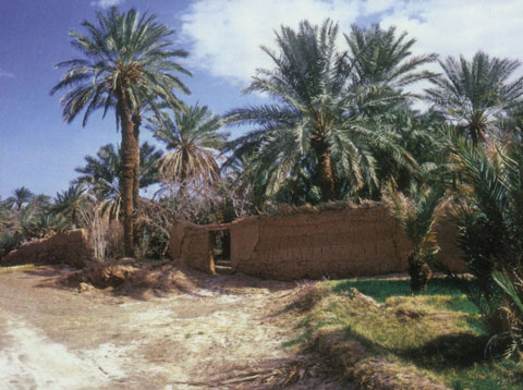 هشت خوان کوير