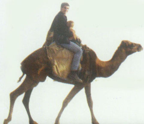 بر بام ستاره ها