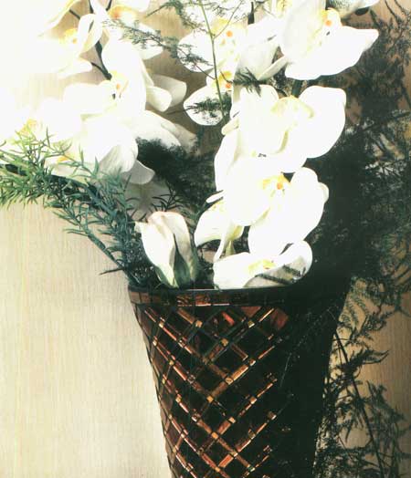 گل ارکيده(بلندر)