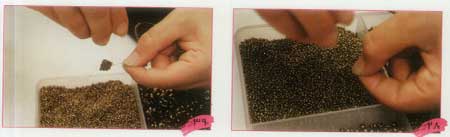 تزئين گلدان با افشانه هاي کريستالي و مرواريد