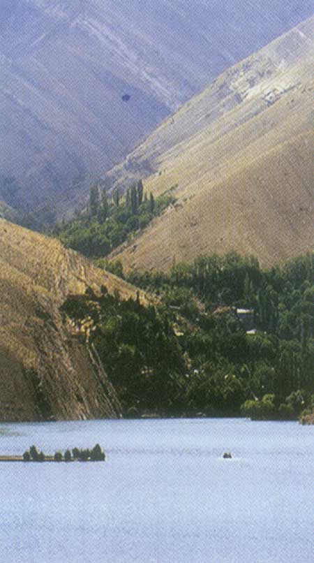 با هزار خم دلربا