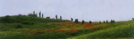 در سرزمين خورشيد