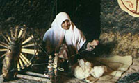 گشت و گذار در روستاي جهاني