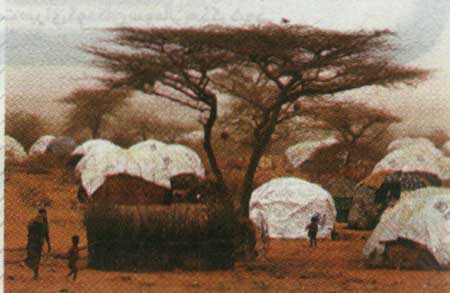 سرزمين گرسنگي