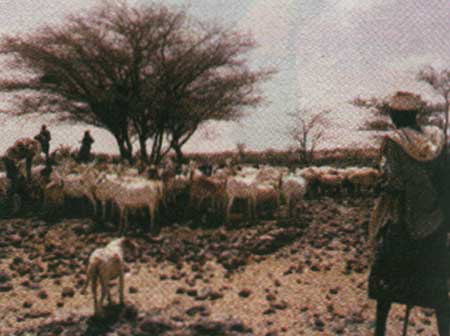 سرزمين گرسنگي