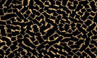  سلولوئيد ( Celluloid)