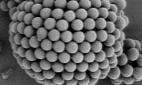  کلوئيد ( Colloid)