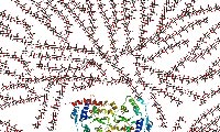  گليکوژن ( Glycogen)