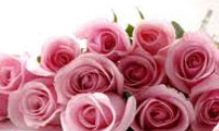 چگونه باغبان خوبي باشيم؟