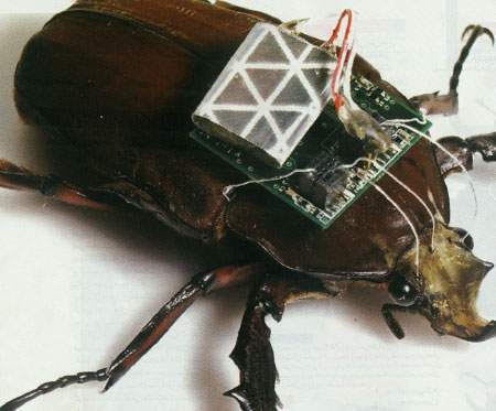 سوسک هاي سايبورگ