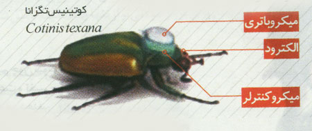 سوسک هاي سايبورگ