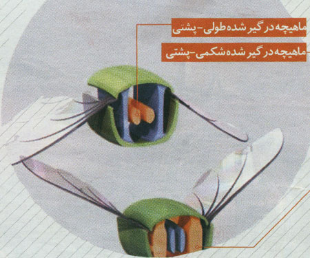 سوسک هاي سايبورگ