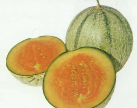 خوردن طالبی برای پیشگیری از چین و چروک