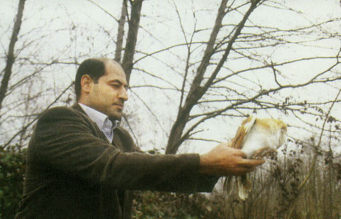 سپيد پوش تاريکي