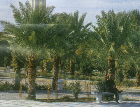 زيارت باغي در کوير