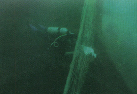 ماجراجويي زير آب