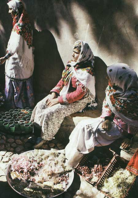 سفرنامه ي دلبر و ديگران 