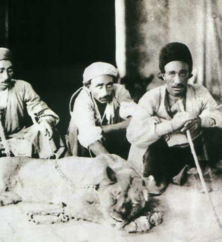 بيشه هاي بي شير