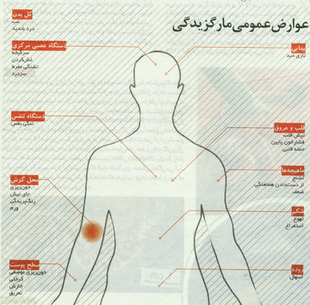 مار تماشايي جهان