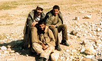 آشيانه پرواز