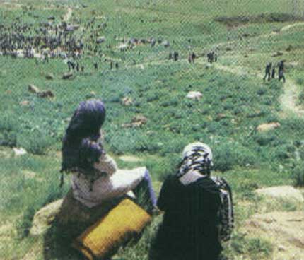 حاکمان برفي
