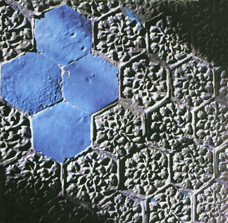 بهشت کوچک ديباج