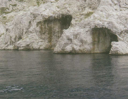 جهان در بحران