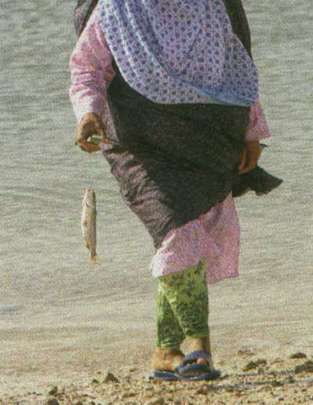قصه ننه دريا