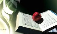 انتقاد از جامعه مسلمين در كلام امام علي (ع)