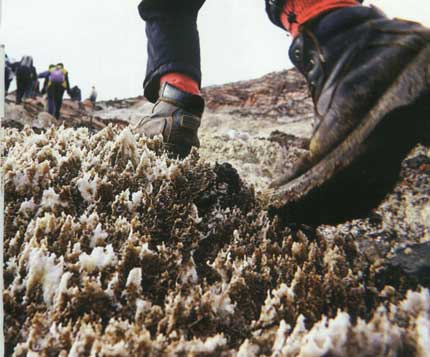 پوششي براي قلب دوم