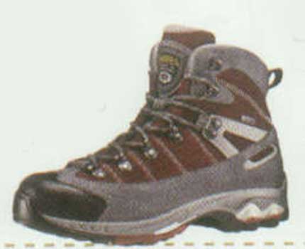 پوششي براي قلب دوم