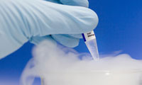 برودت شناسي (cryogenics)