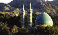 سرو کاشمر