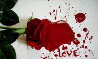 10 اشتباه عاشقانه